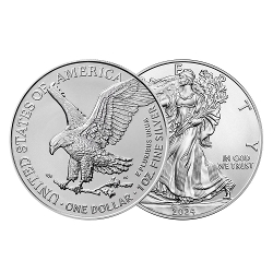 2024 1온스 실버 이글 불리온 주화(Coin) 1$(USD) 20ea